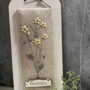 Kit - Botanical - Buttercup flower-KTB21-B