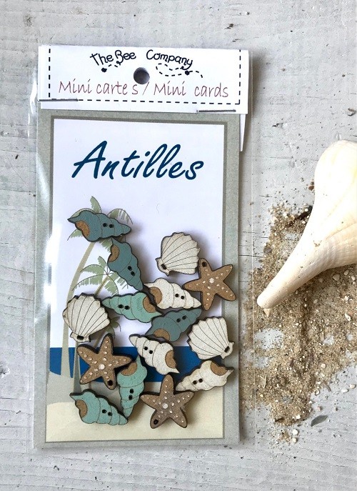 Mini carte & boutons coquillages TE5E